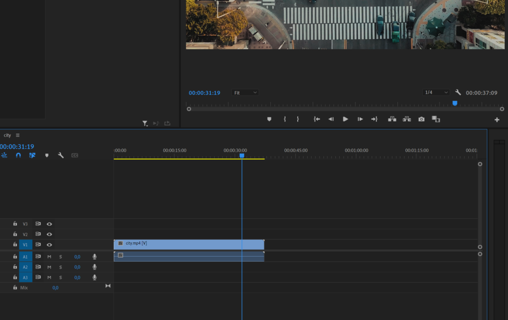 Premiere Pro Cursus